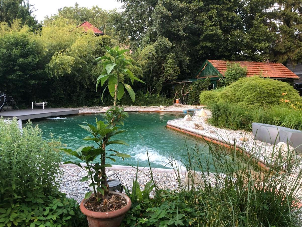 Haus Mit Sauna Und Privatem Badeteich In Anif Bei Salzburg Buitenkant foto